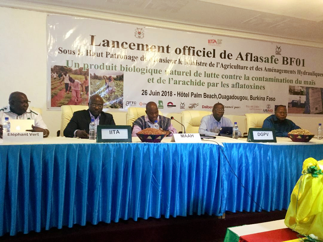 Lancement de Aflasafe BF01 à Ouagadougou, au Burkina Faso